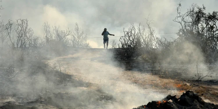 «Συγγνώμη αν δεν ανταποκριθήκαμε», λέει ο αρχιπύραρχος για τη φονική πυρκαγιά στην Κύπρο – «Εκκενώθηκαν 13 κοινότητες για να μην πάθουμε ό,τι στο Μάτι»