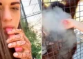Οργή για 24χρονη Ρωσίδα μποξέρ που έδωσε ηλεκτρονικό τσιγάρο σε ουρακοτάγκο – «Η γενιά των ανόητων»