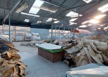 Εντοπίστηκε σπίτι-εργοστάσιο ναρκωτικών στα νότια προάστια – Στοίβες από εμποτισμένα δέρματα με κοκαΐνη, δείτε φωτογραφίες