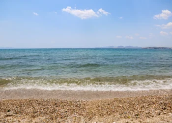 Το παιδί που δεν το ψάχνει κανείς: Παραμένει μυστήριο η ταυτότητα του μικρού κοριτσιού – Τι έδειξε η νεκροψία