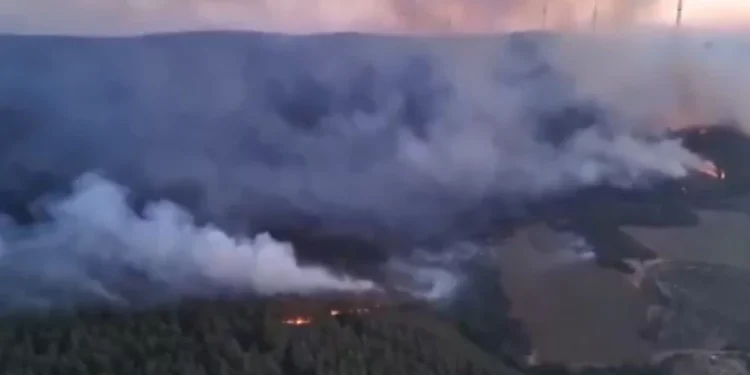 Μεγάλες φωτιές μαίνονται στη βορειοδυτική Τουρκία, εκκενώθηκαν χωριά – Η μυρωδιά καμένου έφτασε μέχρι την Αττική