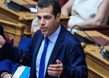 Πλεύρης για μεταναστευτικό: «Ή συνεργάζεσαι να φύγεις ή πας φυλακή για 5 χρόνια χωρίς αναστολή»