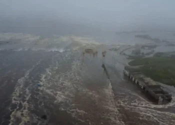 Σεισμός 8,8 Ρίχτερ στη Ρωσία: Σε Χαβάη και Αλάσκα τα πρώτα κύματα τσουνάμι – Ακυρώθηκαν όλες οι πτήσεις