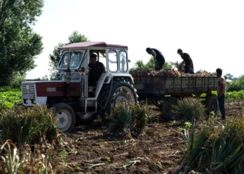 ΟΠΕΚΕΠΕ: Αγρότης με crypto και υβριδικό Mercedes στην «τσιμπίδα» της Αρχής για το Ξέπλυμα Μαύρου Χρήματος
