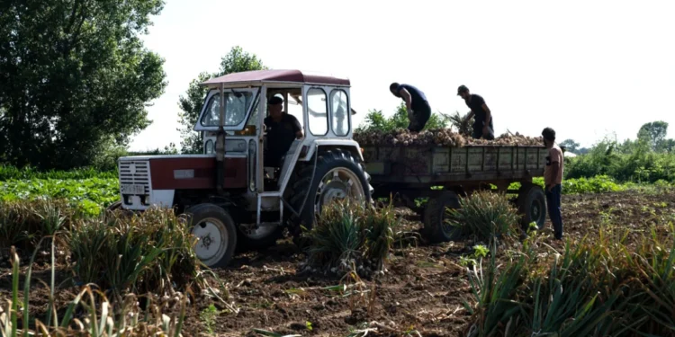 ΟΠΕΚΕΠΕ: Αγρότης με crypto και υβριδικό Mercedes στην «τσιμπίδα» της Αρχής για το Ξέπλυμα Μαύρου Χρήματος