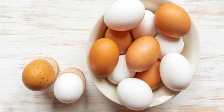 Τοξικές ουσίες και φυτοφάρμακα εντοπίστηκαν σε ελληνικά αυγά – Τι δείχνει μελέτη του Πανεπιστημίου Αιγαίου και του ΕΚΠΑ