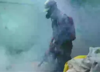 Ιός chikungunya: Ειδικός απαντά πόσο πιθανή είναι μία ακόμα πανδημία μετά τα 7.000 κρούσματα στην Κίνα (vid)