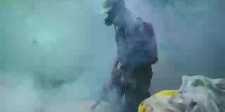 Ιός chikungunya: Ειδικός απαντά πόσο πιθανή είναι μία ακόμα πανδημία μετά τα 7.000 κρούσματα στην Κίνα (vid)