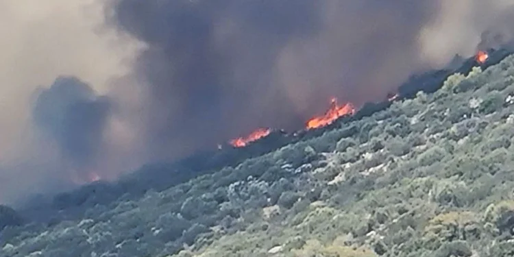 Φωτιά τώρα στην Κερατέα – Μήνυμα 112 για εκκένωση των περιοχών Δροσιά και Χάρβαλο, δείτε βίντεο