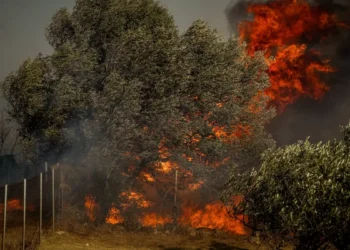 Καιρός: 40άρια και θυελλώδεις άνεμοι έως 8 μποφόρ – «Πορτοκαλί» συναγερμός την Τρίτη σε 10 περιφέρειες για φωτιά