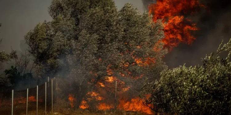 Καιρός: 40άρια και θυελλώδεις άνεμοι έως 8 μποφόρ – «Πορτοκαλί» συναγερμός την Τρίτη σε 10 περιφέρειες για φωτιά