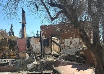 Δραματική ιστορία πυρόπληκτου από την Πάτρα: Κάηκε το σπίτι και η ιτιά που φύτεψε στη μνήμη της κόρης του