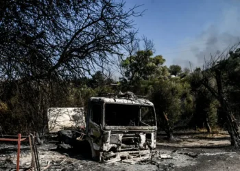 Κεφαλογιάννης κατά Πελετίδη για τις φωτιές στην Πάτρα: Ζητούσε 112 και μετά προέτρεπε τους πολίτες να μην εφαρμόζουν τις εντολές