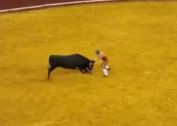 Τραγωδία στη Λισαβόνα: 22χρονος προκάλεσε ταύρο και σκοτώθηκε σε αρένα