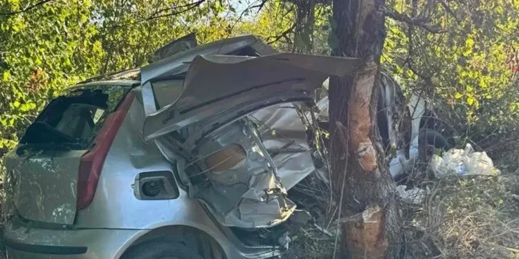 Πιερία: Διασωληνωμένη στο Ιπποκράτειο η 11χρονη από το τροχαίο – Θρήνος για την 9χρονη αδερφή της