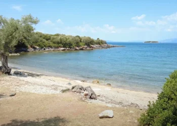 Πήλιο: Άγριος καβγάς σε παραλία όταν δύο άνδρες έκαναν γυμνισμό – Τρεις συλλήψεις