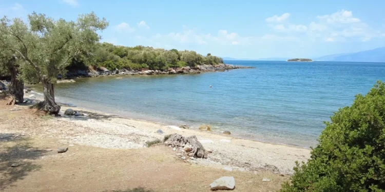 Πήλιο: Άγριος καβγάς σε παραλία όταν δύο άνδρες έκαναν γυμνισμό – Τρεις συλλήψεις