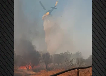 Οριοθετήθηκε η φωτιά στο Λαύριο – Επιχειρούν ισχυρές δυνάμεις της Πυροσβεστικής