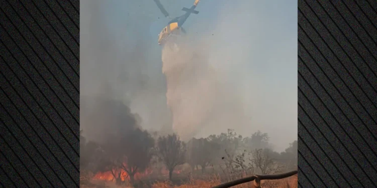 Οριοθετήθηκε η φωτιά στο Λαύριο – Επιχειρούν ισχυρές δυνάμεις της Πυροσβεστικής