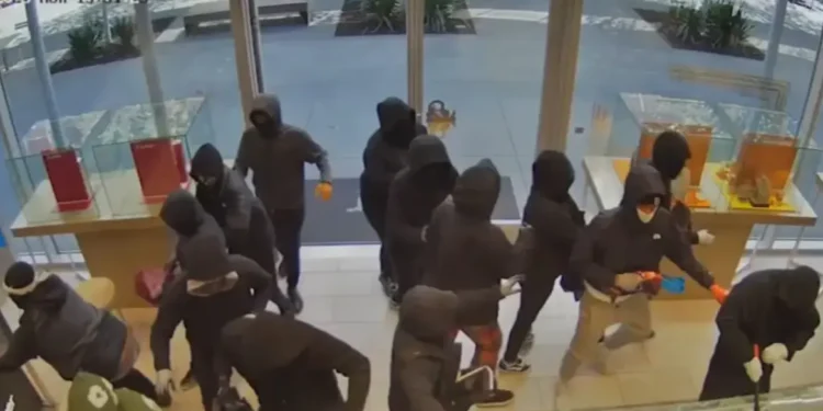 Ληστεία που θύμισε ταινία στην Καλιφόρνια: 30 μασκοφόροι μπούκαραν σε κοσμηματοπωλείο και έφυγαν με λεία $1 εκατ. – Δείτε βίντεο