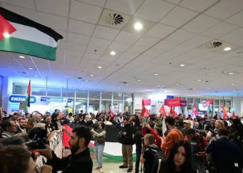 Στην Αθήνα έφτασαν οι 27 Έλληνες ακτιβιστές για τη Γάζα – Μαζί τους και η Γκρέτα Τούνμπεργκ, δείτε φωτογραφίες