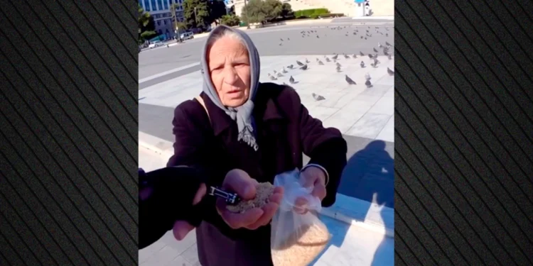 Γέμισε το TikTok με ΑΙ βίντεο που δείχνουν ηλικιωμένους να «συλλαμβάνονται» από στελέχη της ΕΛ.ΑΣ