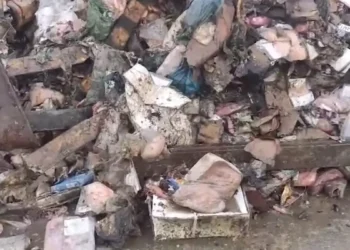 Πρέβεζα: Θάφτηκαν χωρίς άδεια, κοντά στον ποταμό Λούρο απόβλητα από την Κέρκυρα – Προκλήθηκε περιβαλλοντική ρύπανση