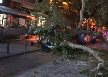 Συναγερμός για δέντρο που έπεσε πάνω σε σταθμευμένο αυτοκίνητο στη Θεσσαλονίκη – Κλειστό το ρεύμα προς Κωνσταντινουπολίτικα