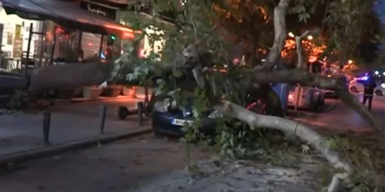 Συναγερμός για δέντρο που έπεσε πάνω σε σταθμευμένο αυτοκίνητο στη Θεσσαλονίκη – Κλειστό το ρεύμα προς Κωνσταντινουπολίτικα