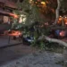 Συναγερμός για δέντρο που έπεσε πάνω σε σταθμευμένο αυτοκίνητο στη Θεσσαλονίκη – Κλειστό το ρεύμα προς Κωνσταντινουπολίτικα