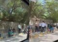 Ατέλειωτες ουρές έξω από την ελληνική πρεσβεία στην Ινδία από επίδοξους μετανάστες – Viral βίντεο