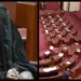 Σάλος με Αυστραλή ακροδεξιά πολιτικό: Εμφανίστηκε με μπούρκα μέσα στο κοινοβούλιο ζητώντας την απαγόρευσή της (vid)