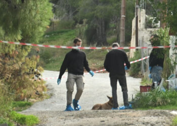 Δραματική ανατροπή στην άγρια δολοφονία στη Σαλαμίνα: Τη σκότωσε με σφυρί η νύφη της