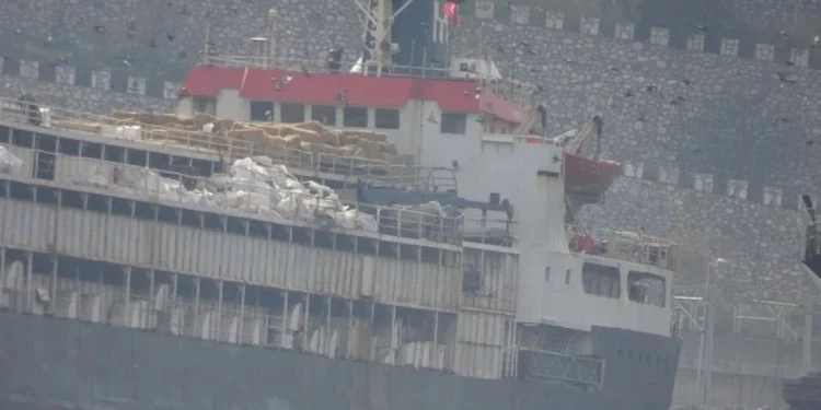 Παγιδευμένες στο πλοίο παραμένουν χιλιάδες αγελάδες «χωρίς χαρτιά» στην Τουρκία – Τουλάχιστον 58 πέθαναν, άλλες 140 γέννησαν