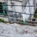 Μακελειό στα Βορίζια: «Έπαιρνα τηλέφωνο την αστυνομία πριν το φονικό και δεν το σήκωνε κανείς» λέει ο αδερφός της νεκρής 56χρονης