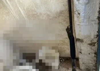 Μακελειό στα Βορίζια: Έξι οι εμπλεκόμενοι – Τι βρήκε η αστυνομία μετά την έρευνα στα σπίτια – Φωτογραφίες