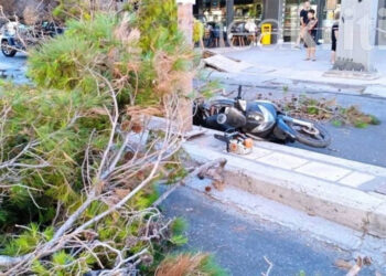 Ισχυρός Βαρδάρης στη Θεσσαλονίκη: Πτώσεις δέντρων και δεκάδες κλήσεις για βοήθεια
