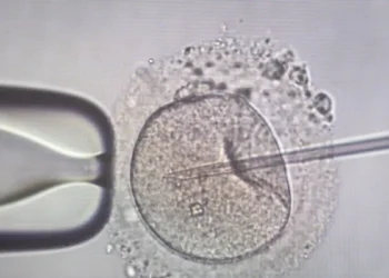 Πλημμελείς οι έλεγχοι των δοτών γενετικού υλικού πανευρωπαϊκά – Η Ελλάδα εξακολουθεί να παίρνει σπέρμα από τη Δανία