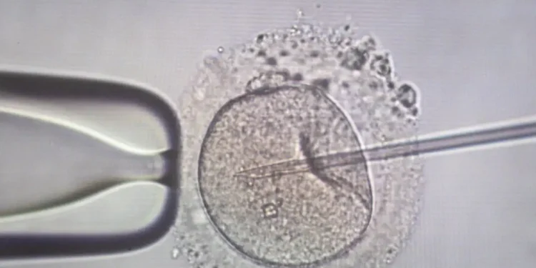 Πλημμελείς οι έλεγχοι των δοτών γενετικού υλικού πανευρωπαϊκά – Η Ελλάδα εξακολουθεί να παίρνει σπέρμα από τη Δανία