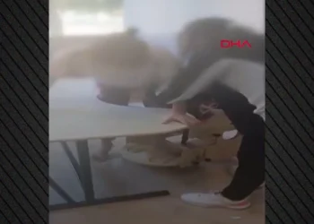 Τουρκία: Αντιδράσεις για βίντεο που δείχνει μαθητές με αυτισμό δεμένους στα θρανία