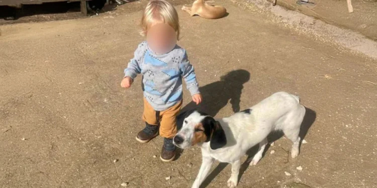 Πριν από 10 μέρες είχε γενέθλια ο μικρός Λίο που σκοτώθηκε από το πίτμπουλ στη Ζάκυνθο – Στην προστασία των ζώων είχε αφιερώσει τη ζωή της η οικογένεια