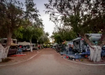 Νέα στοιχεία για το φονικό στη Φοινικούντα – Οι «μυστήριες» αναζητήσεις του ανιψιού, οι συμπληρωματικές απολογίες και το «τέλειο έγκλημα»