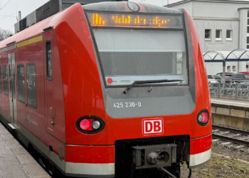 Γερμανία: Για ανθρωποκτονία κατηγορείται ο 26χρονος Έλληνας που σκότωσε στον ξύλο τον ελεγκτή