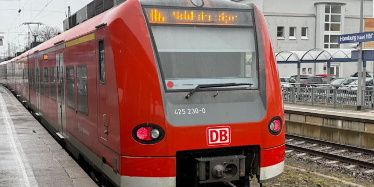 Γερμανία: Για ανθρωποκτονία κατηγορείται ο 26χρονος Έλληνας που σκότωσε στον ξύλο τον ελεγκτή