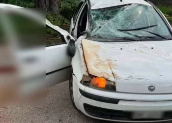 Πώς έγινε το φριχτό τροχαίο με νεκρό 15χρονο στη Λούτσα – «Τι έκανα; Τι έκανα;» φώναζε ο ανήλικος οδηγό