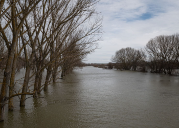 Έβρος: Αγωνία χωρίς τέλος – 150.000 στρέμματα κάτω από το νερό