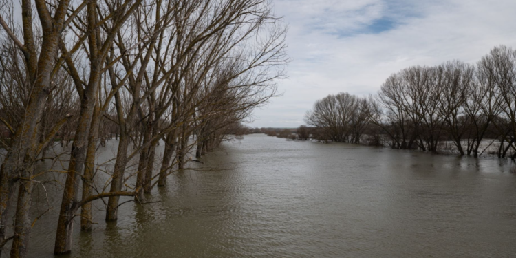 Έβρος: Αγωνία χωρίς τέλος – 150.000 στρέμματα κάτω από το νερό