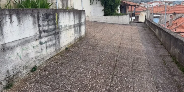 Βέροια: Ομολόγησε τον άγριο ξυλοδαρμό της 24χρονης ο νεαρός που προσήχθη – Παραμένει σε κρίσιμη κατάσταση το θύμα