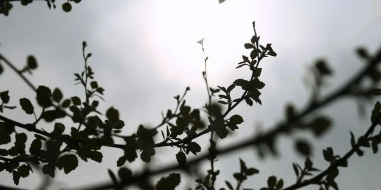 Καιρός: Αίθριος σχεδόν σε όλη τη χώρα – Υποχωρεί η σκόνη και οι ισχυροί βοριάδες