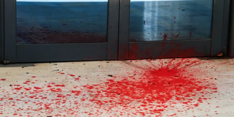 Εφετείο Αθηνών: Η Ένωση Διοικητικών  Δικαστών καταγγέλλει την «έλλειψη μέτρων φύλαξης» μετά την επίθεση με κόκκινη μπογιά